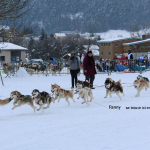 CH. Freedom de La plaine du yukon