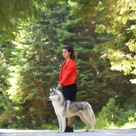 Ch. Road To The Glory Of Nordic Forest