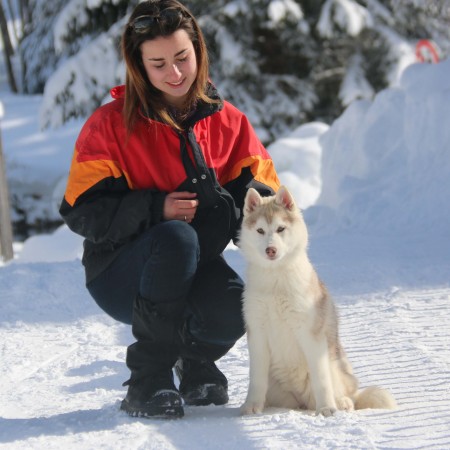 Rec. Northern wild magic Of nordic forest