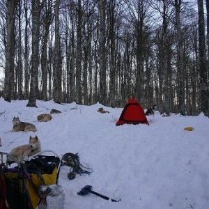 Le bivouac lors de la course