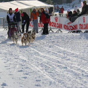Marion et ses 4 huskies à Méaudre en catégorie Moyenne distance 2015