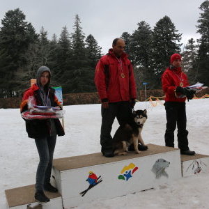 Podium du Mont dore catégorie 4 chiens Moyenne distance