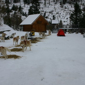 Le biouvac lors de la course