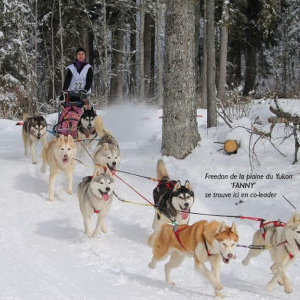 Les Contamines Mont joie Catégorie 8 chiens : 1 ere junior et 3 podium toutes catégorie 8 chiens
